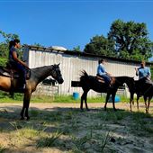 New Branch Ranch
