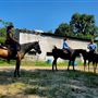 New Branch Ranch
