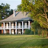 Stella Plantation