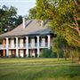 Stella Plantation