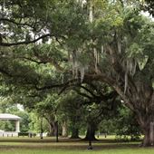 Audubon Park