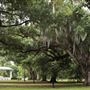 Audubon Park