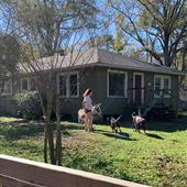 16 acre rustic farm - Hammond, LA
